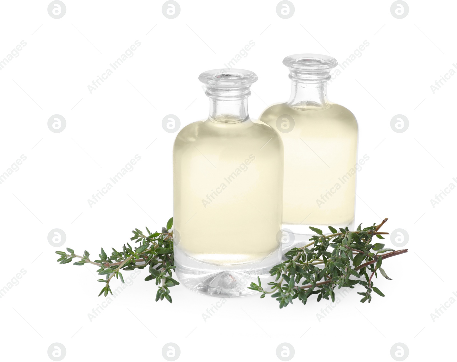 Photo of Bottles of thyme essential oil and fresh plant isolated on white