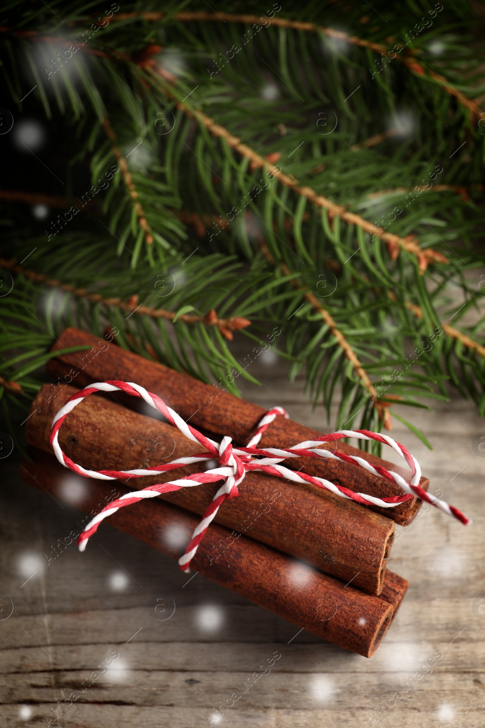 Image of Cinnamon sticks and fir tree branches on wooden table, closeup