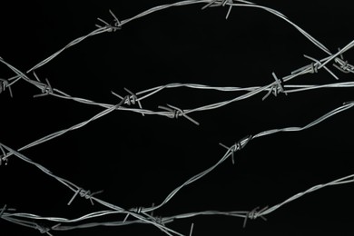 Shiny metal barbed wire on black background