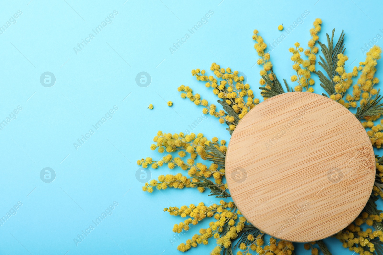 Photo of Beautiful floral composition with mimosa flowers and wooden board on light blue background, flat lay. Space for text