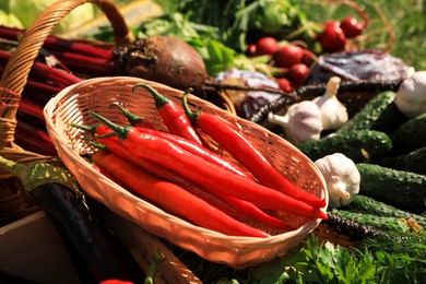Photo of Different fresh ripe vegetables outdoors on sunny day, closeup