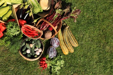 Different fresh ripe vegetables on green grass, flat lay