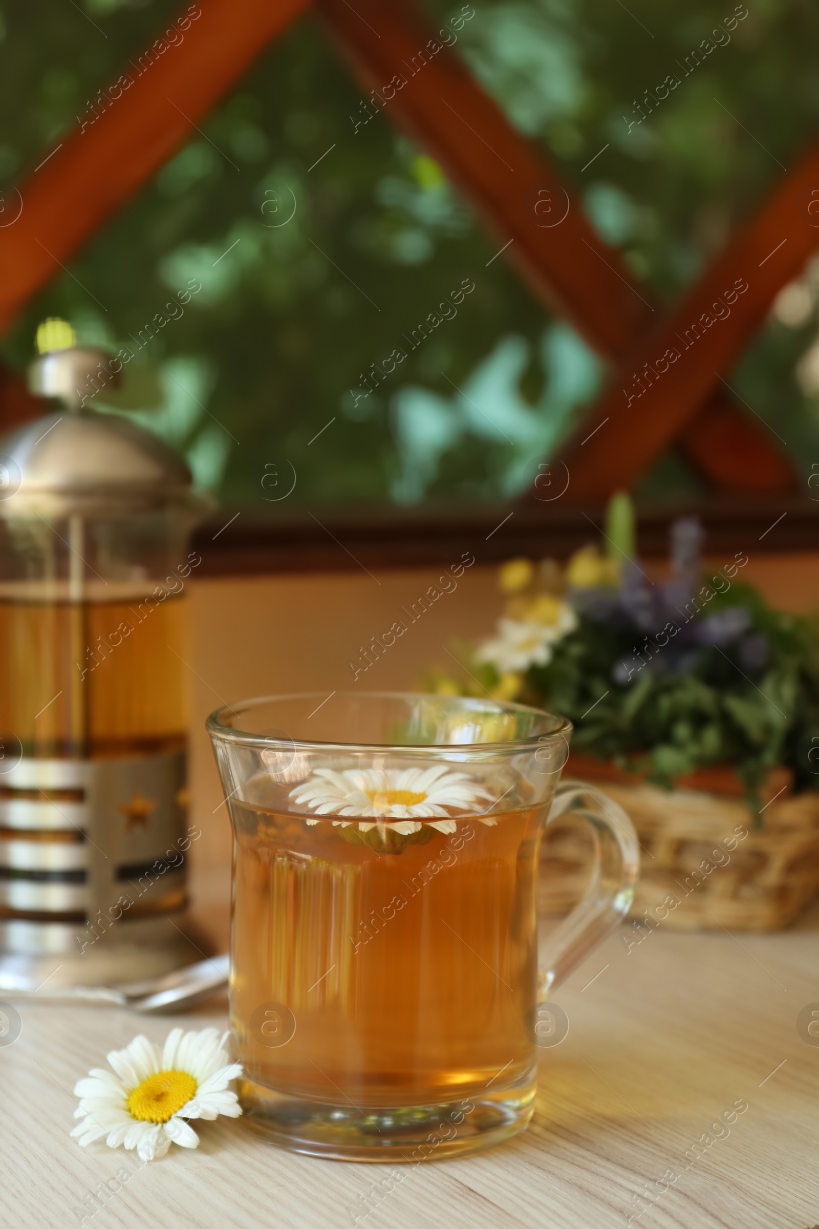 Photo of Tasty herbal tea and fresh chamomile flowers on white table