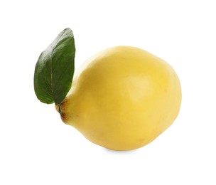 Photo of Fresh ripe quince with leaf on white background