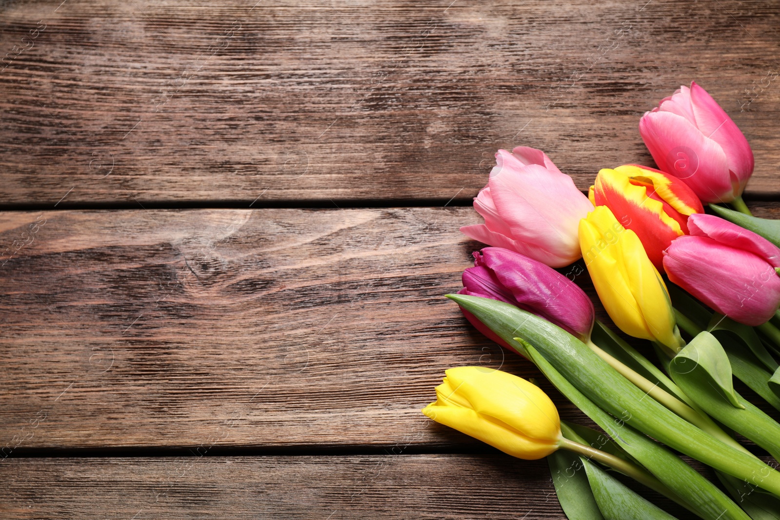 Photo of Beautiful spring tulips on wooden table, flat lay. Space for text