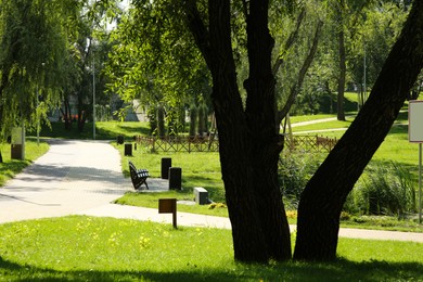 Photo of Quiet park with green trees and pathway on sunny day