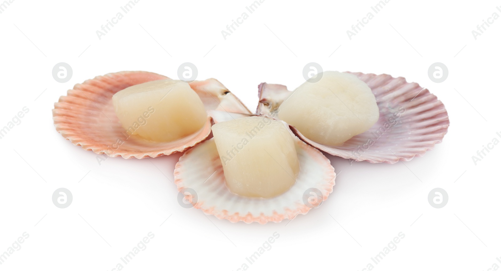 Photo of Fresh raw scallops in shells isolated on white