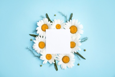 Beautiful floral composition with chamomile flowers and card on color background, top view