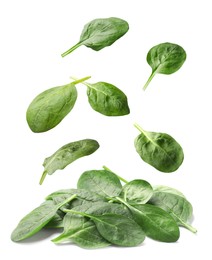 Image of Fresh green spinach leaves falling onto heap on white background