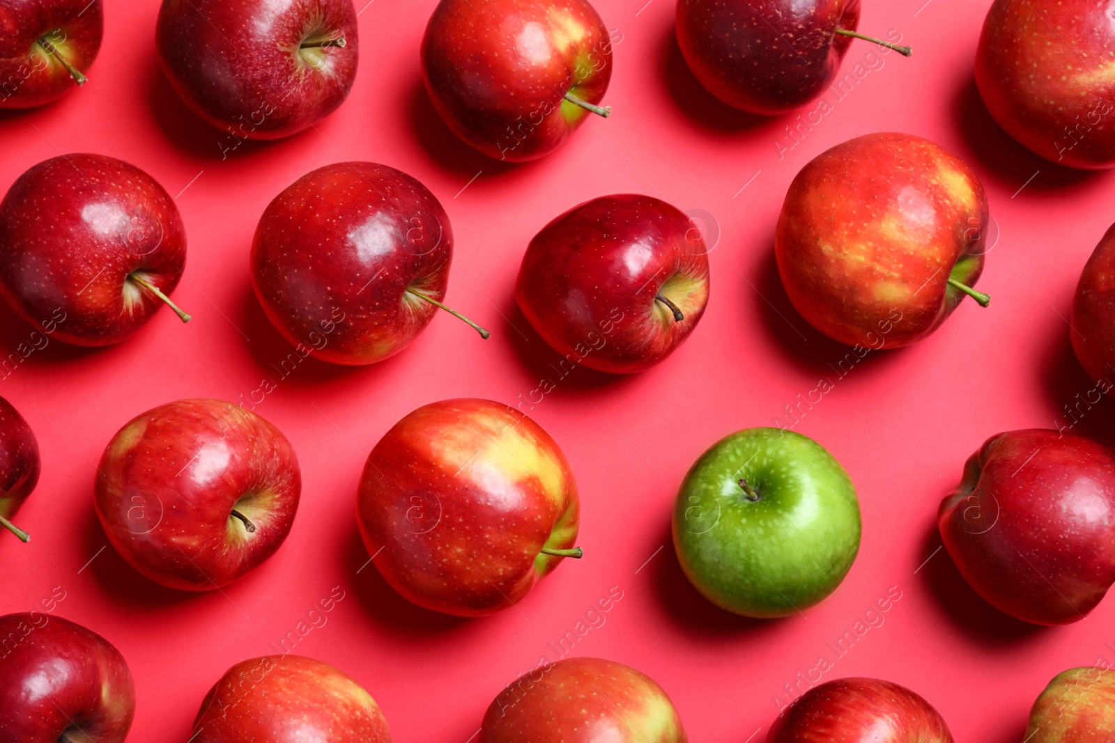 Photo of Green apple among red ones on color background, flat lay