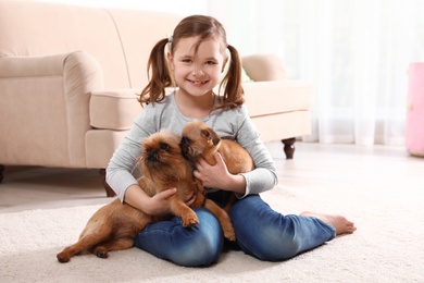 Photo of Portrait of cute girl with funny Brussels Griffon dogs at home. Loyal friends