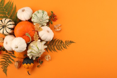 Photo of Flat lay composition with different ripe pumpkins on orange background. Space for text