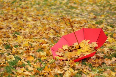 Photo of Open umbrella with fallen autumn leaves on grass in park, space for text