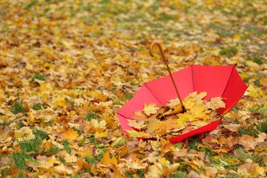 Open umbrella with fallen autumn leaves on grass in park, space for text