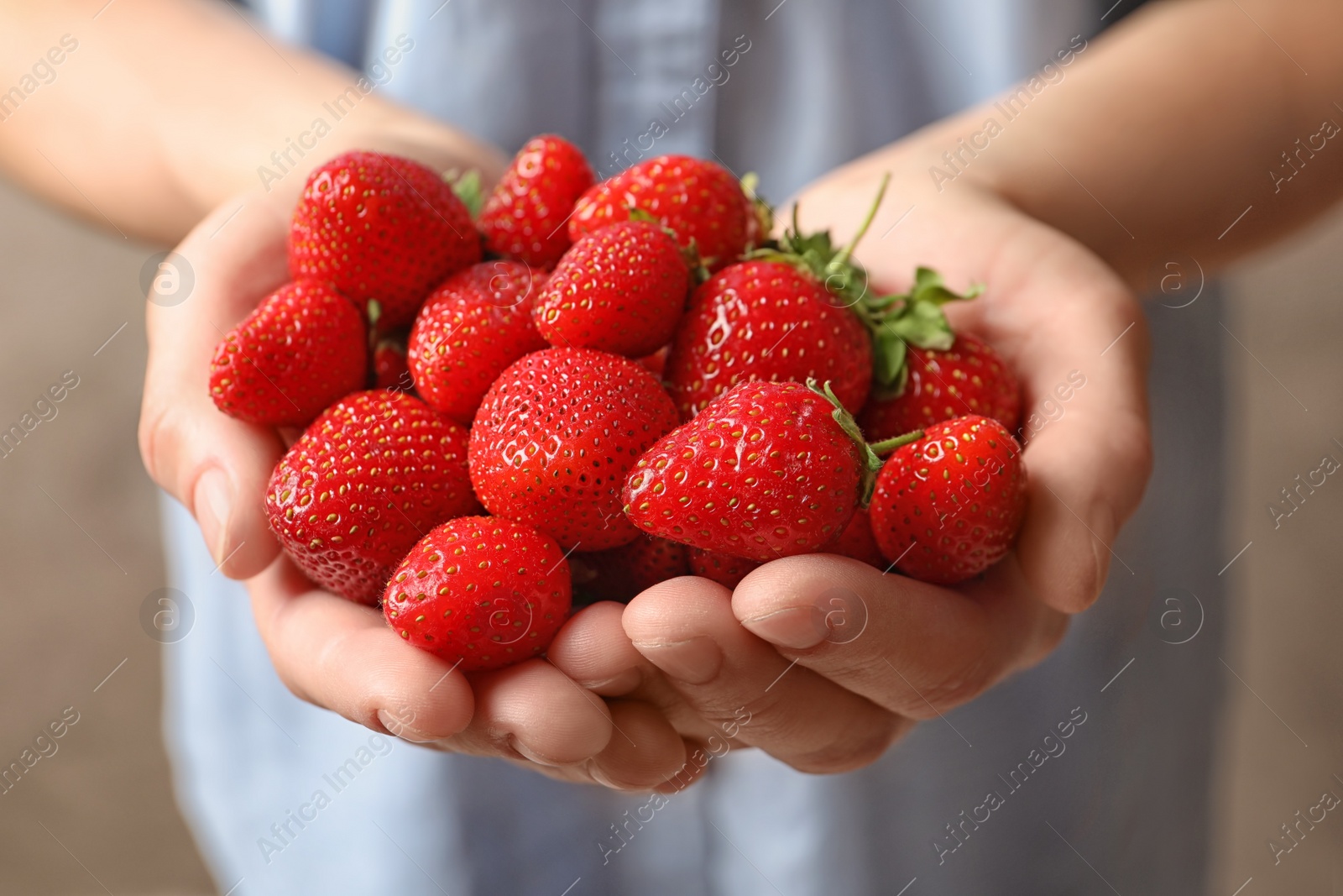 Photo of Young woman holding fresh ripe strawberries, closeup