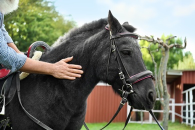 Senior man stroking beautiful black pony outdoors, closeup