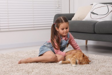 Little girl petting cute ginger cat on carpet at home, space for text