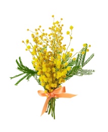 Beautiful bouquet of mimosa flowers on white background