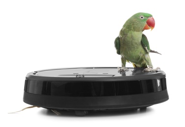 Photo of Modern robotic vacuum cleaner and Alexandrine parakeet on white background