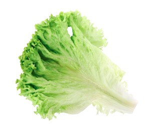 Photo of Leaf of fresh lettuce isolated on white, top view