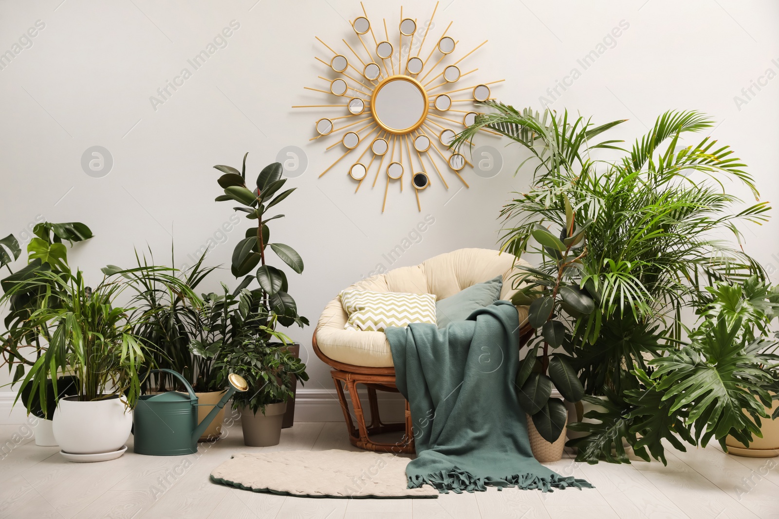 Photo of Lounge area interior with comfortable papasan chair and houseplants