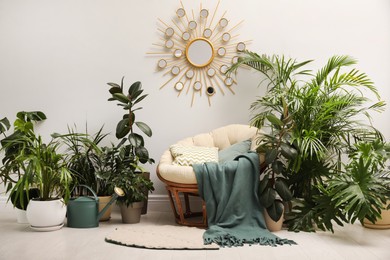 Photo of Lounge area interior with comfortable papasan chair and houseplants