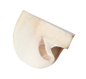 Piece of fresh mushroom on white background