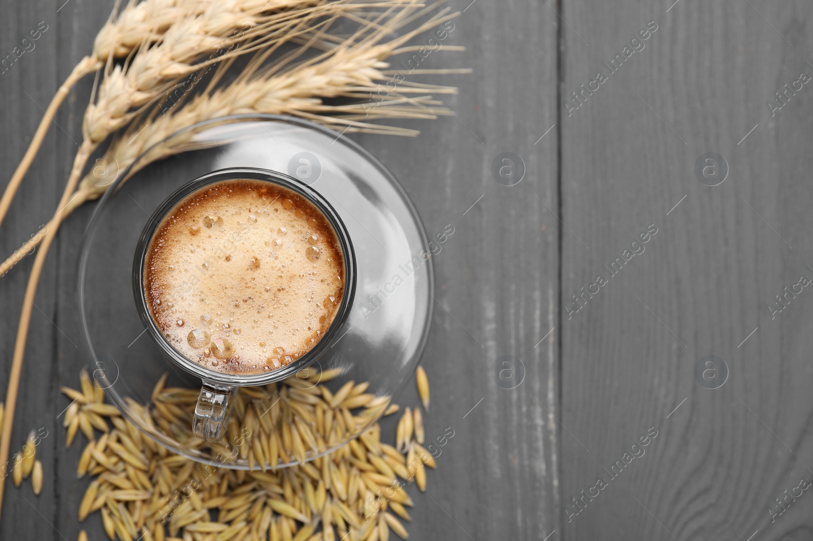 Photo of Cup of barley coffee, grains and spikes on gray wooden table, flat lay. Space for text