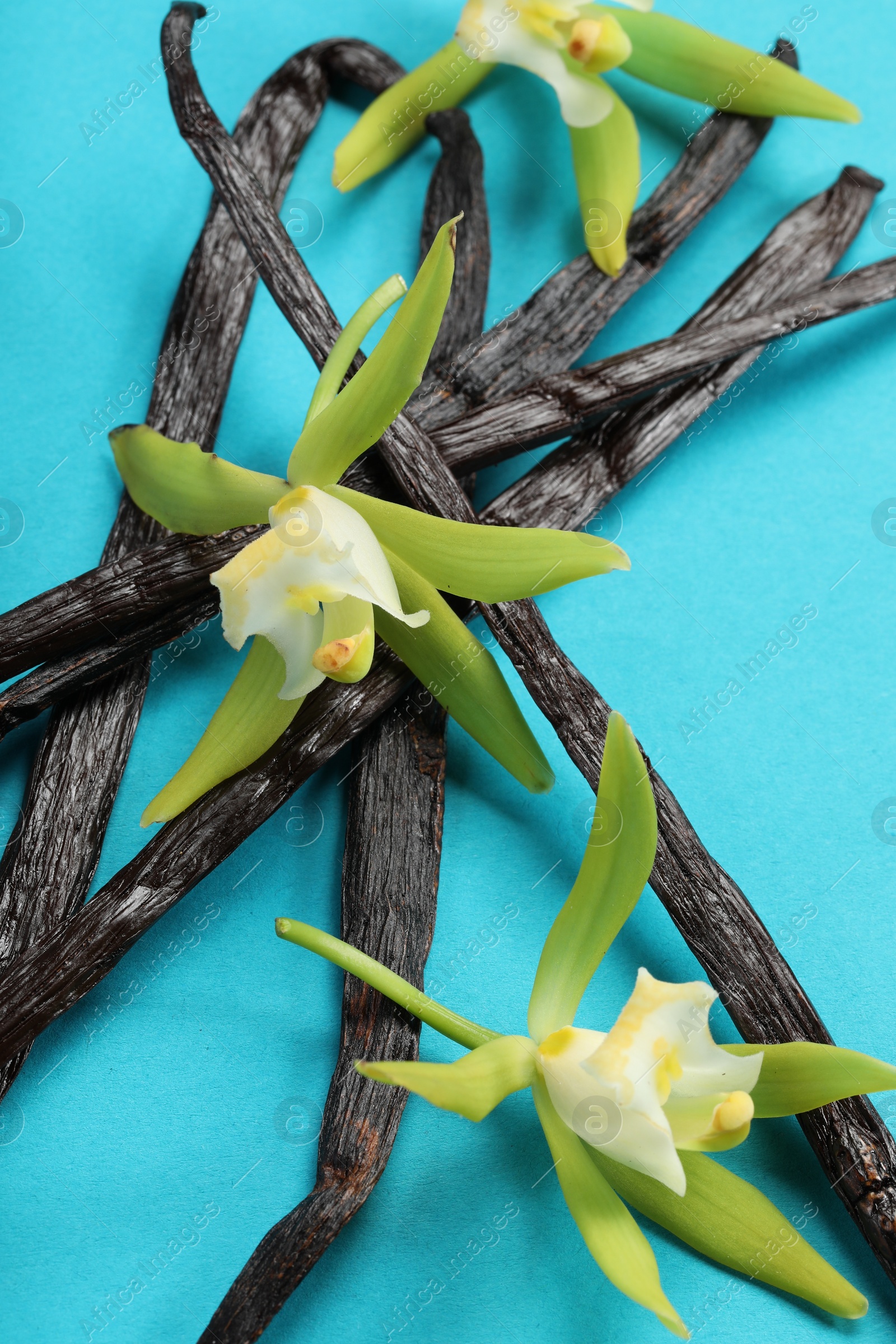 Photo of Vanilla pods and beautiful flowers on light blue background, closeup