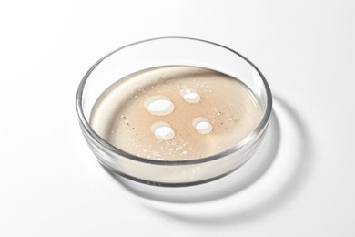 Photo of Petri dish with beige liquid on white background