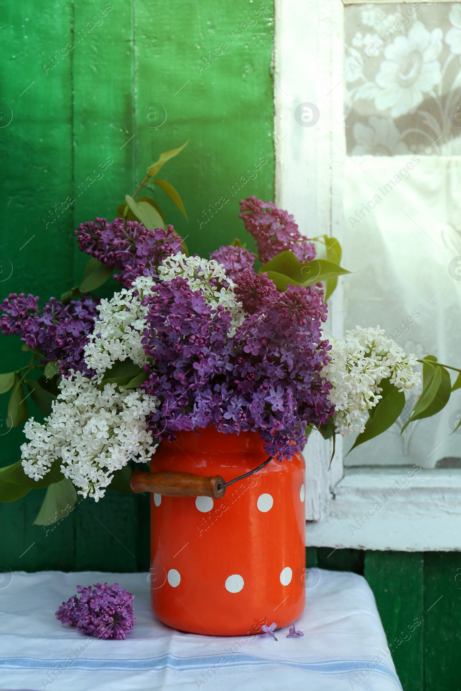 Photo of Beautiful lilac flowers in milk can near house outdoors