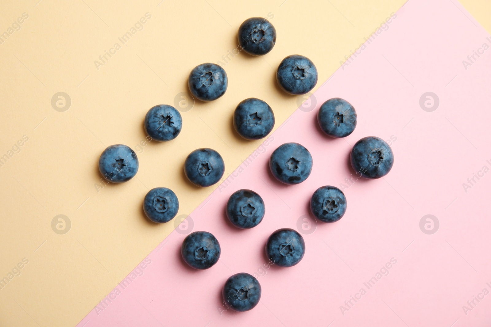 Photo of Flat lay composition with tasty blueberry on color background