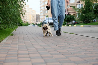 Photo of Woman walking with her cute pug outdoors, closeup