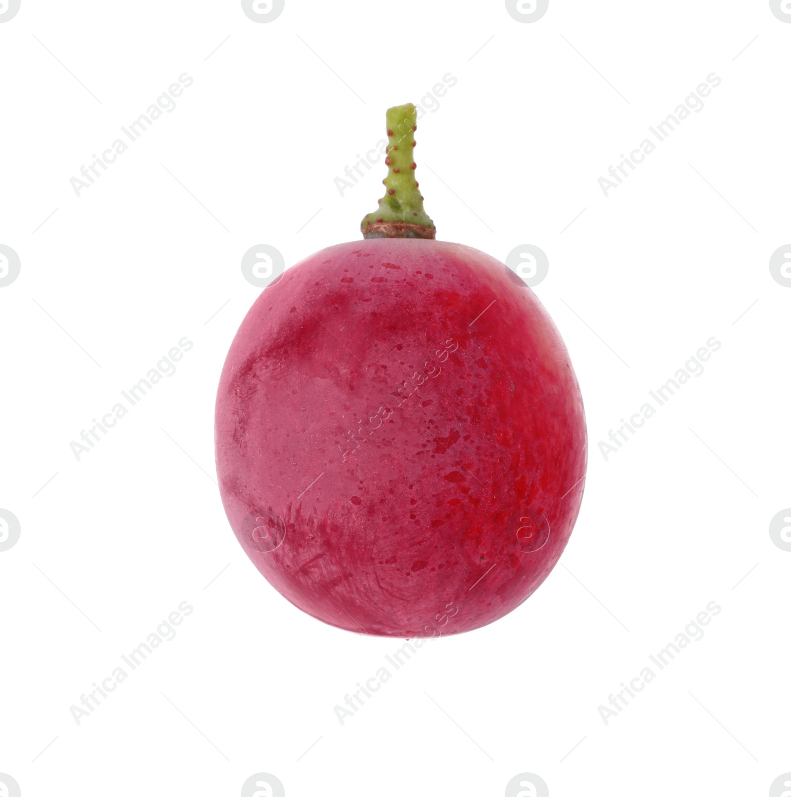 Photo of One ripe red grape isolated on white