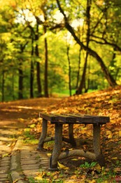 Photo of Wooden bench, pathway, fallen leaves and trees in beautiful park on autumn day