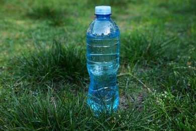 Plastic bottle of water on green grass outdoors