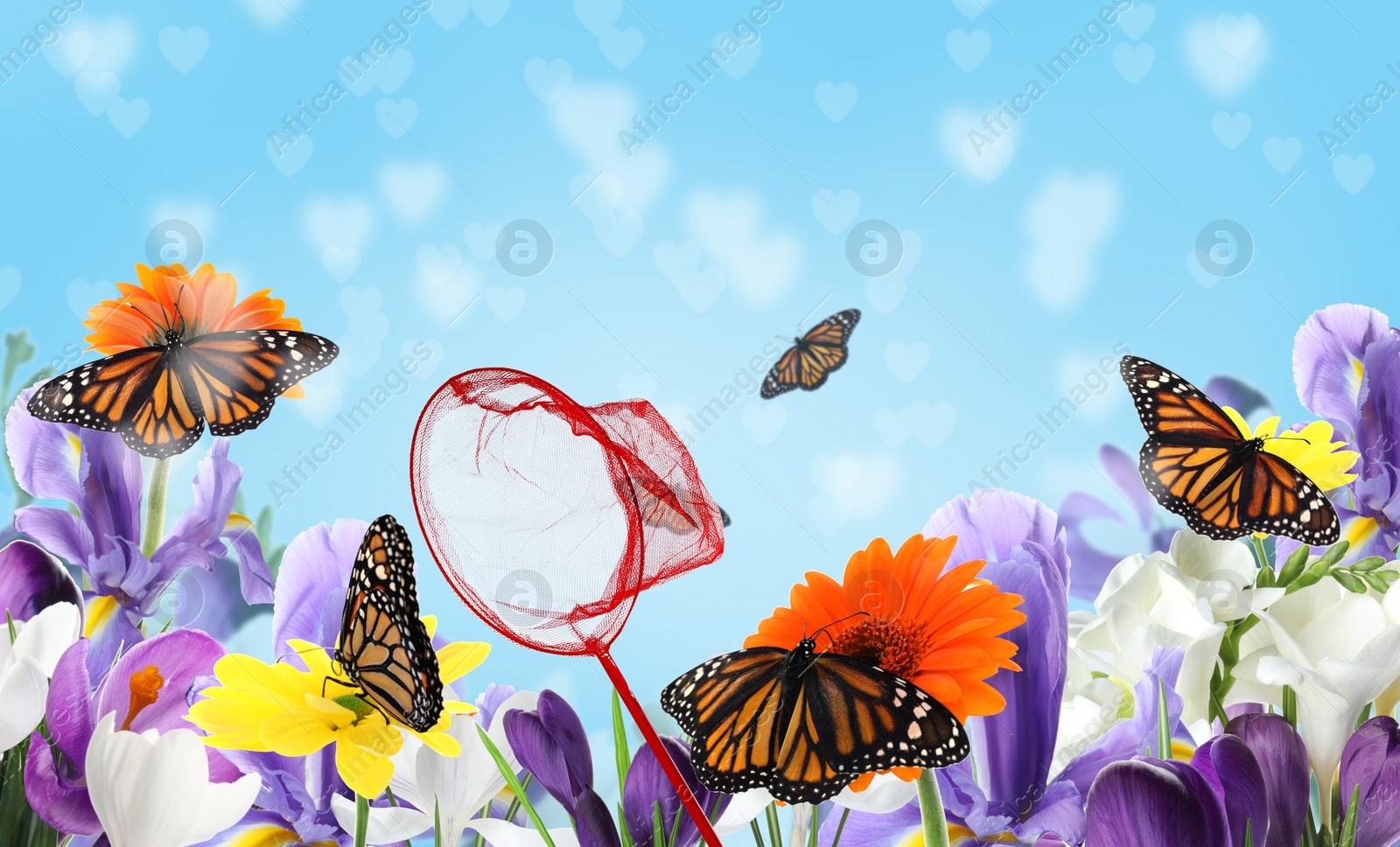 Image of Bright net and fragile monarch butterflies in flower garden