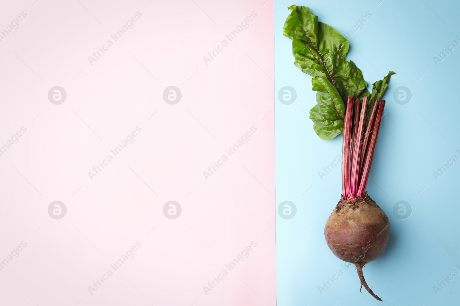 Photo of Whole fresh red beet on color background, top view. Space for text