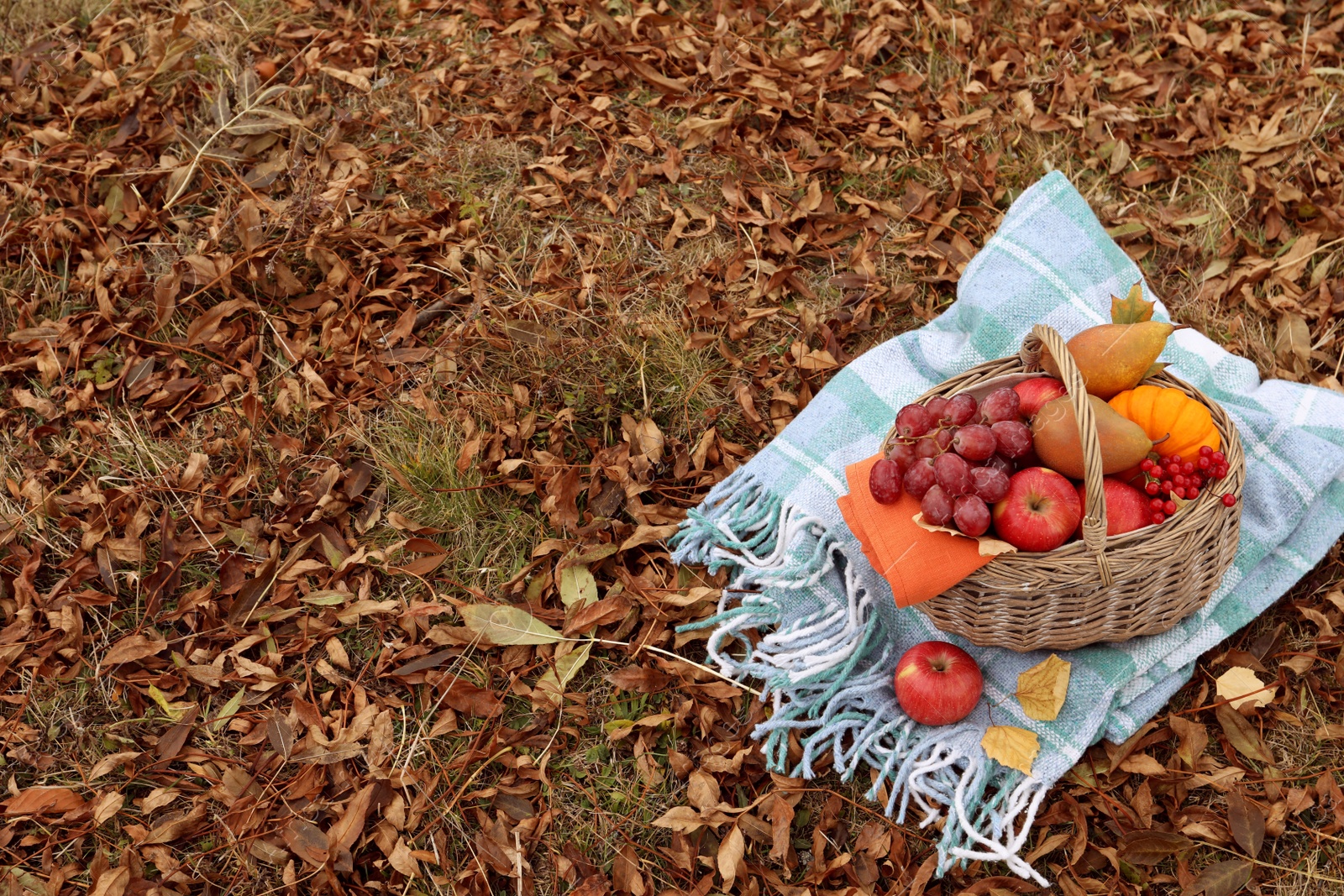 Photo of Wicker picnic basket with fruits and plaid on autumn leaves outdoors, space for text