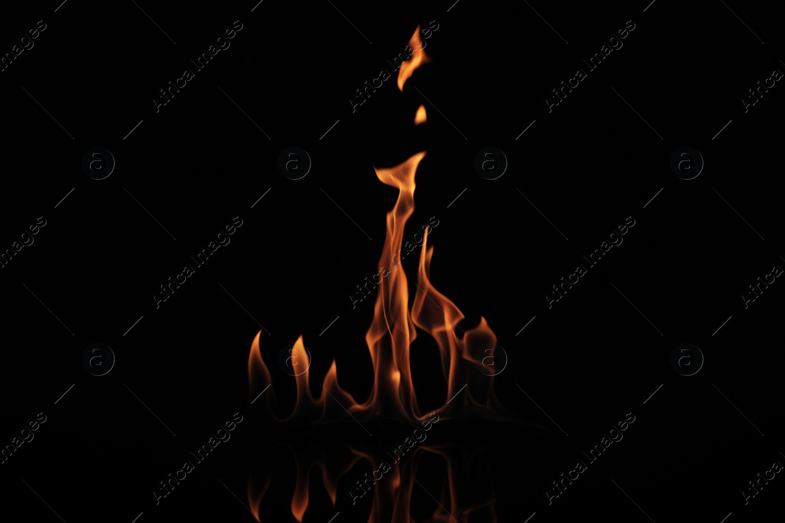 Photo of Beautiful bright fire flames on black background