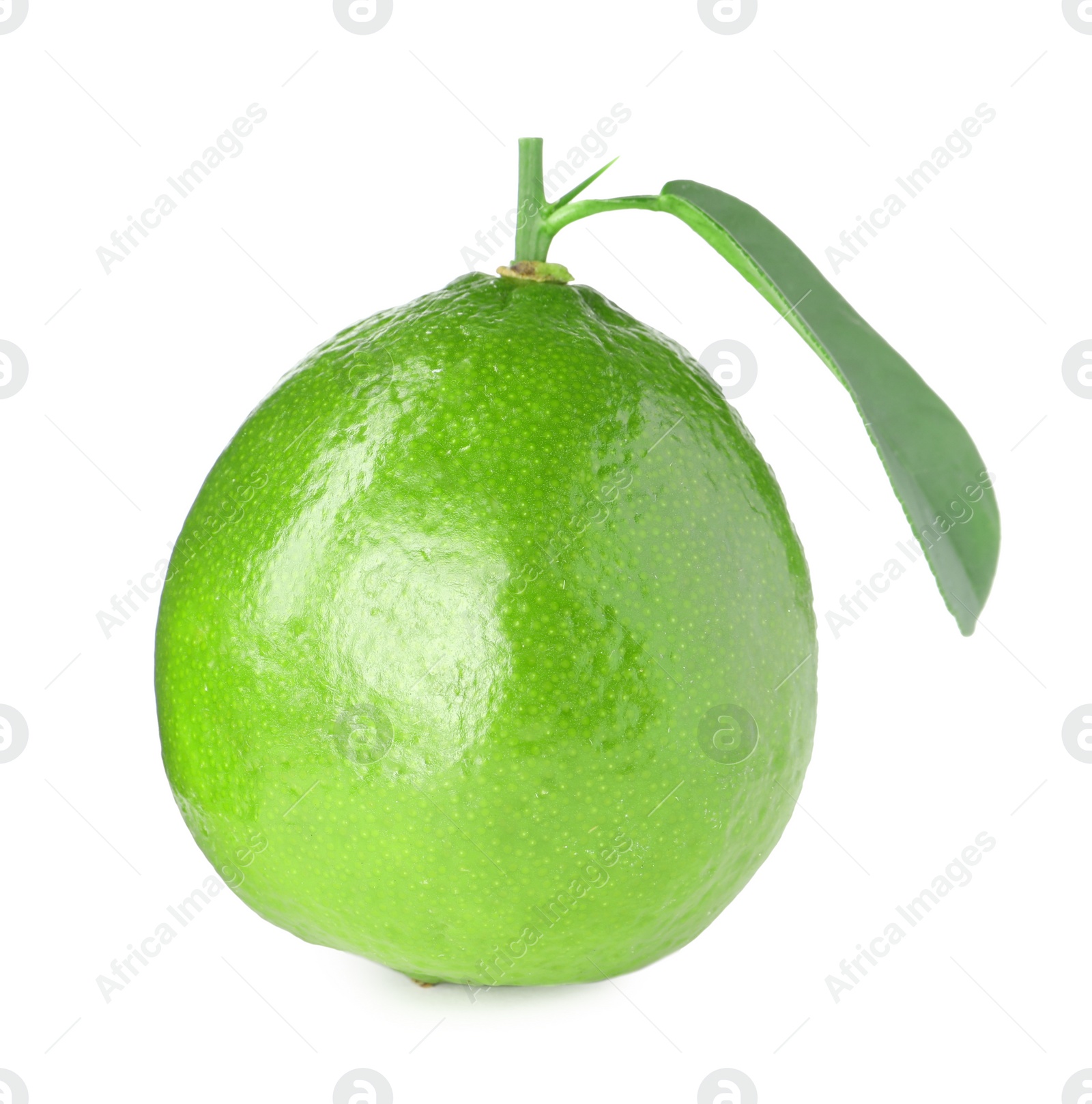 Photo of Fresh green ripe lime with leaf isolated on white