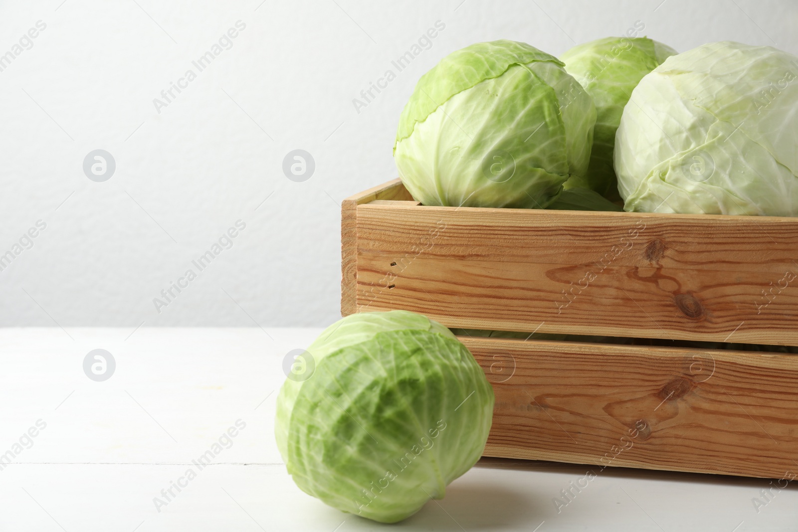 Photo of White cabbage in crate on table. Space for text