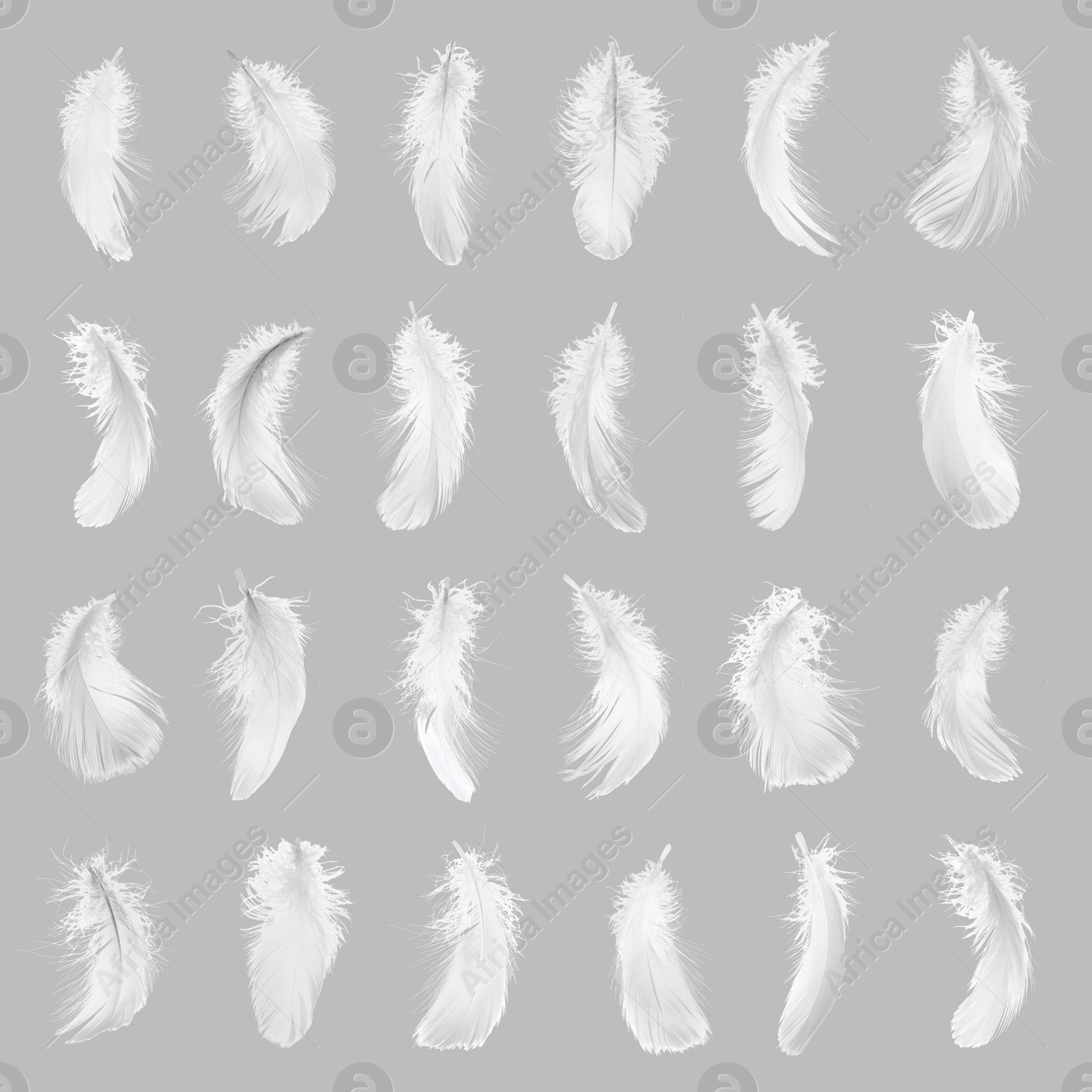 Image of Fluffy bird feathers on grey background, pattern design