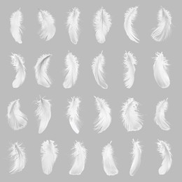 Image of Fluffy bird feathers on grey background, pattern design