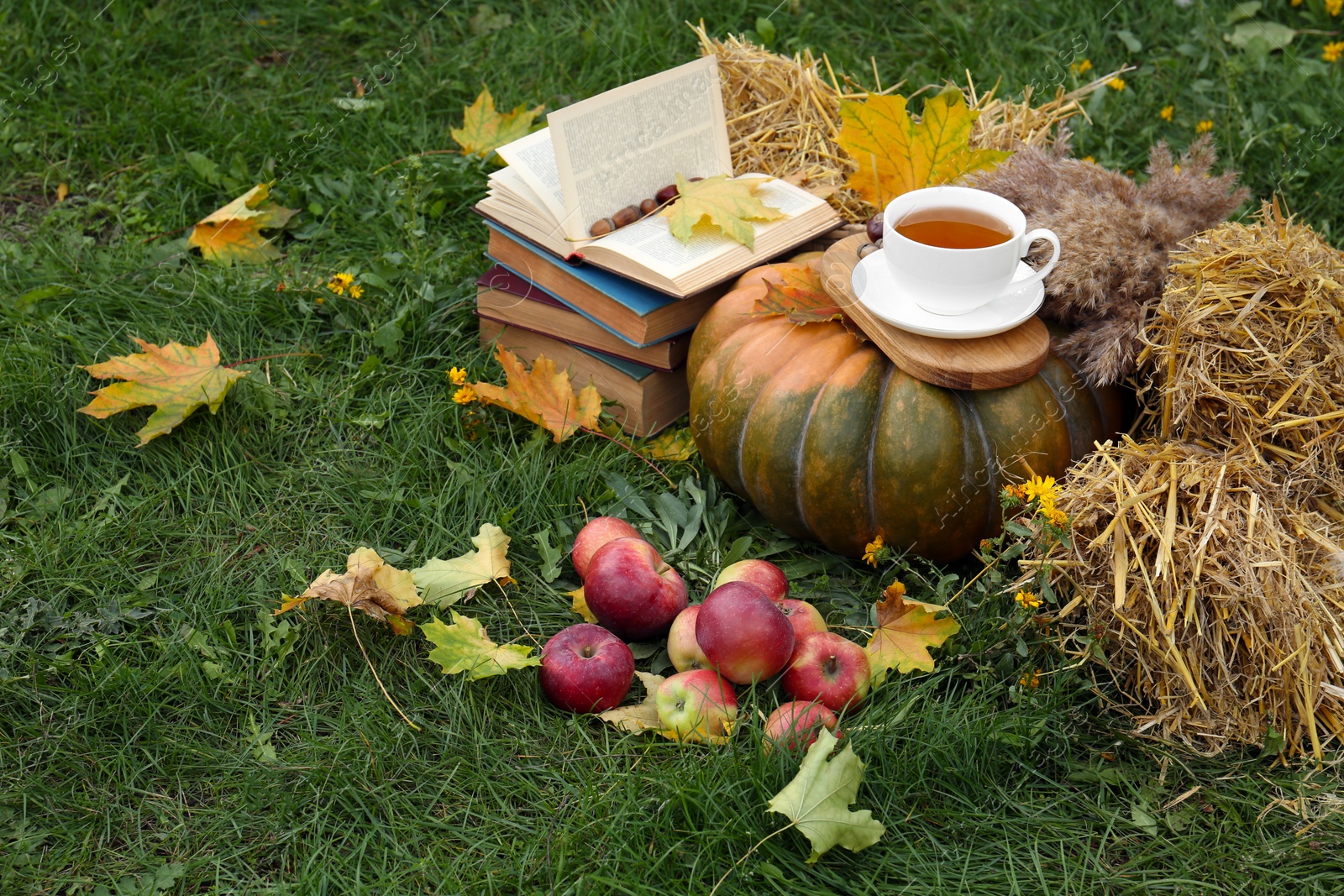 Photo of Books, pumpkin, apples and cup of tea on green grass outdoors, space for text. Autumn season