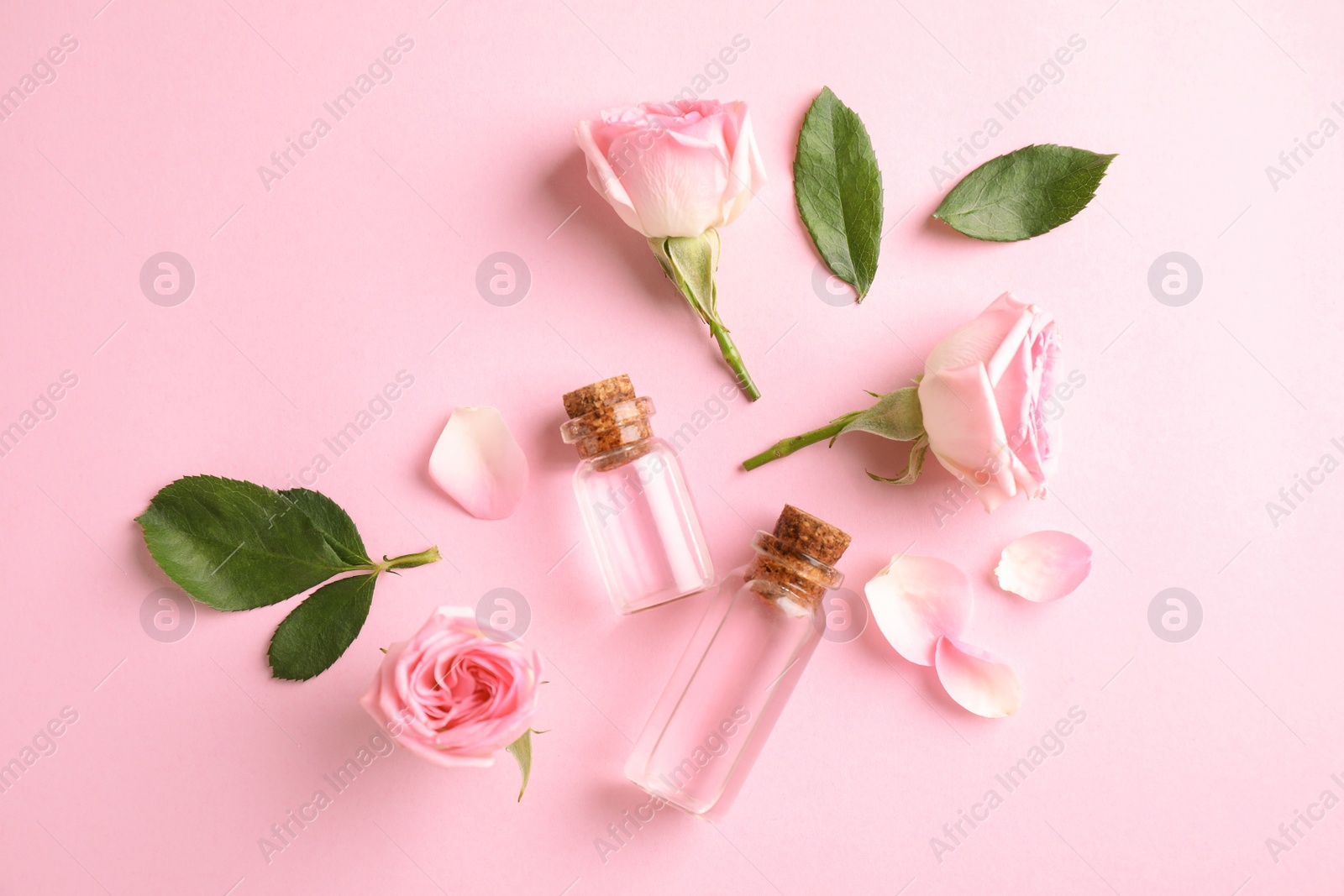 Photo of Flat lay composition with rose essential oil on pink background