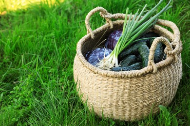 Tasty vegetables in wicker basket on green grass, space for text