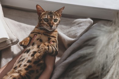 Photo of Woman with cute Bengal cat near window at home, closeup. Adorable pet