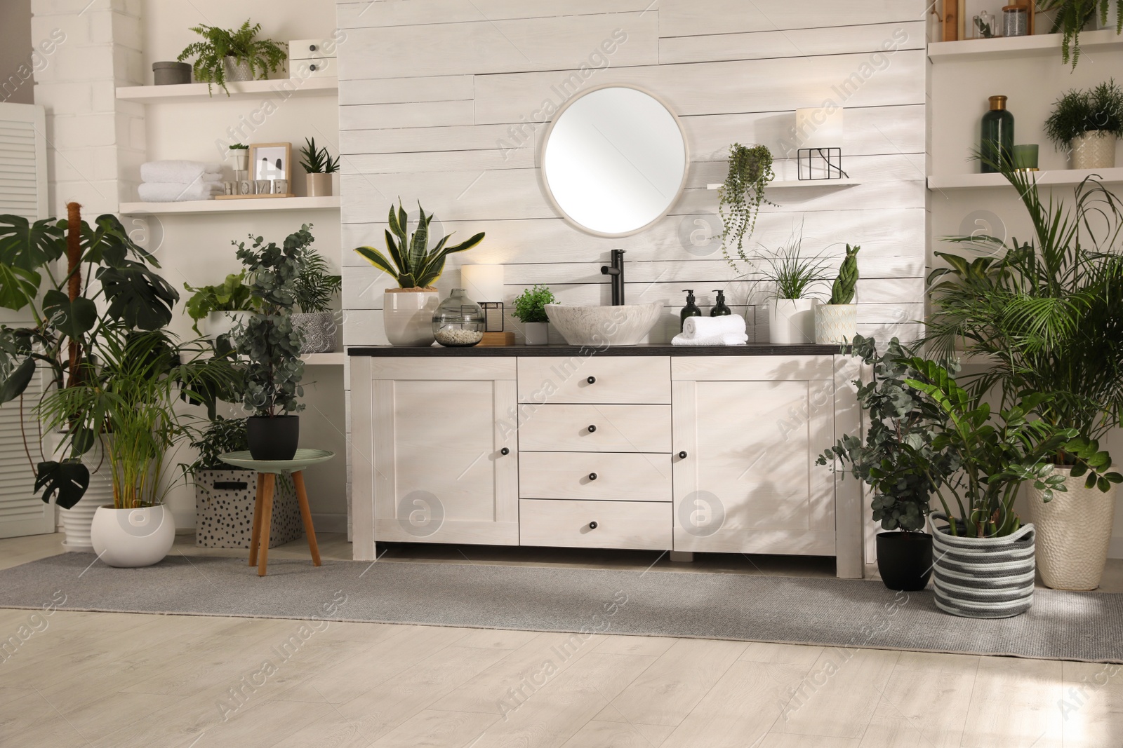 Photo of Stylish bathroom interior with vessel sink and beautiful plants