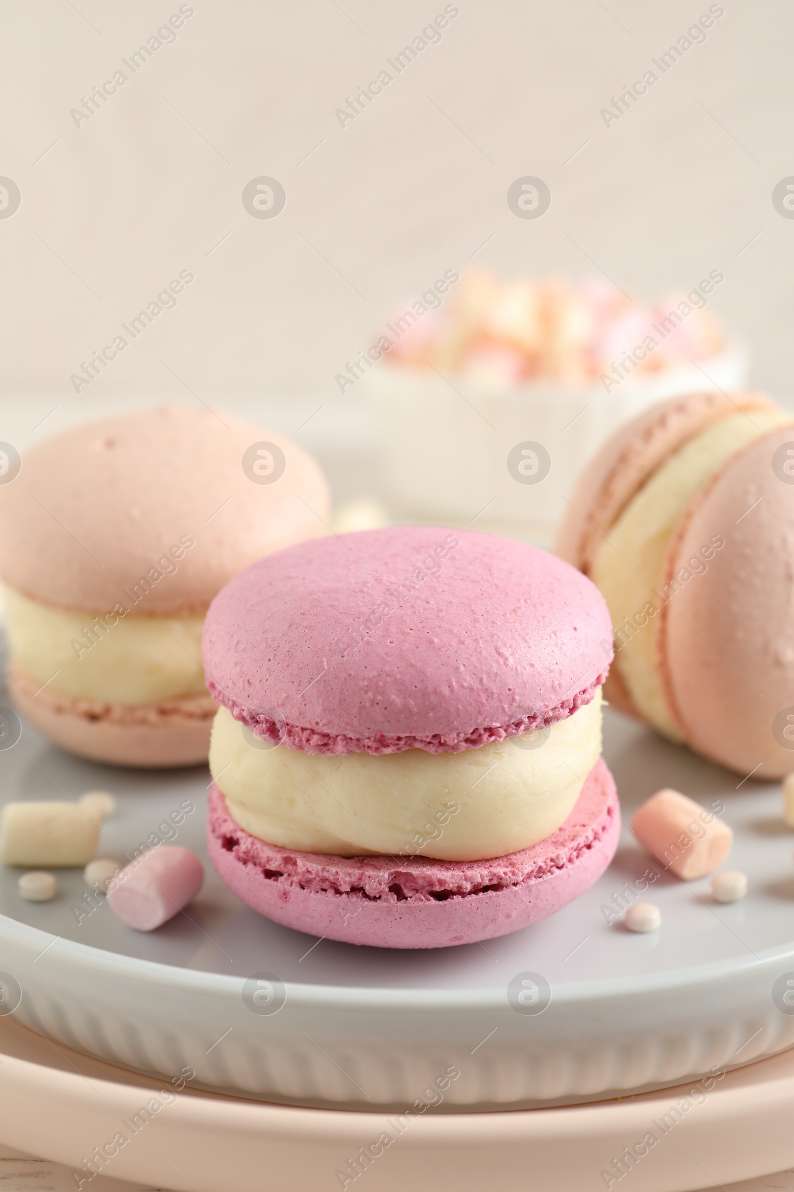 Photo of Delicious colorful macarons and marshmallows on plate, closeup